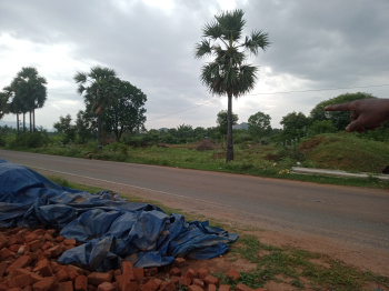  Agricultural Land for Sale in Attur, Salem