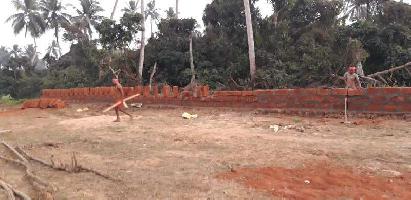  Commercial Land for Rent in Chandanpur, Puri