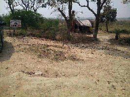  Farm House for Sale in Sultanpur Road, Lucknow