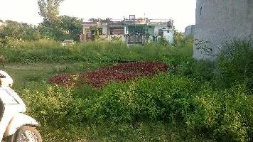  Residential Plot for Sale in Akash Colony, Hoshiarpur