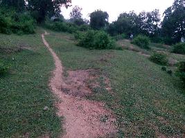  Agricultural Land for Sale in Beohari, Shahdol