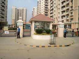 3 BHK Flat for Rent in Sector 50 Gurgaon