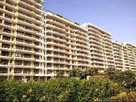 4 BHK Flat for Sale in TDI City Kundli, Sonipat