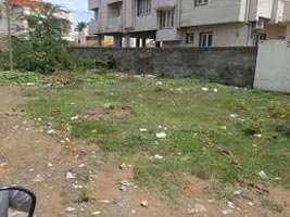  Residential Plot for Sale in Kathadih Village, Raipur