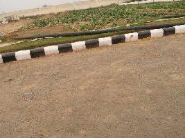  Residential Plot for Sale in Barwala Road, Dera Bassi