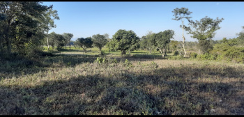  Agricultural Land for Sale in Chakrata Road, Dehradun