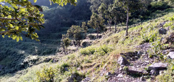  Agricultural Land for Sale in Chakrata Road, Dehradun