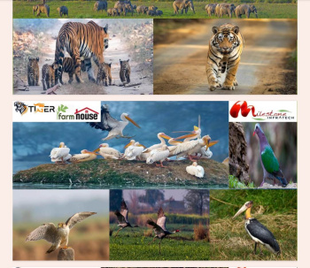 2 BHK Farm House for Sale in Kheri, Lakhimpur Kheri