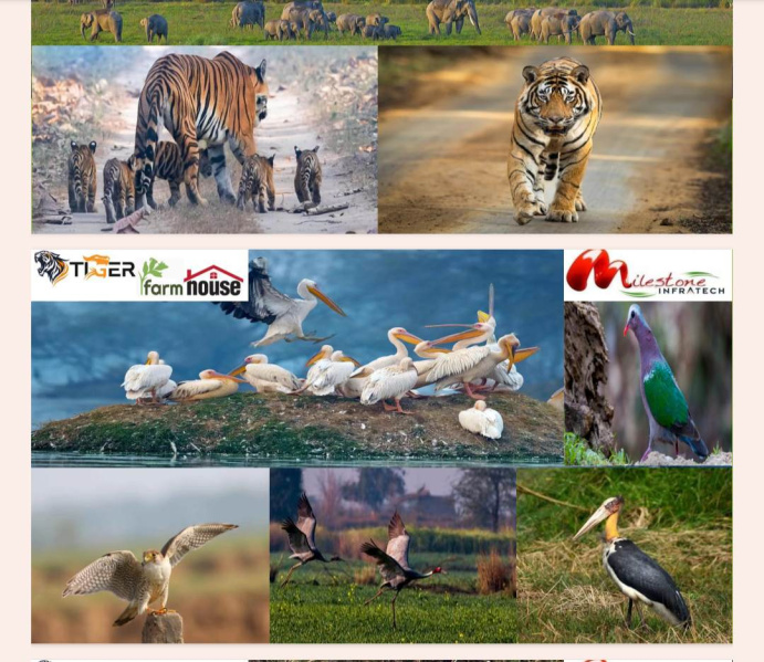 2 BHK 2040 Sq.ft. Farm House for Sale in Kheri, Lakhimpur Kheri