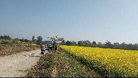  Agricultural Land 48 Bigha for Sale in Vikas Nagar, Dehradun