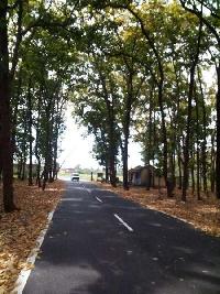  Residential Plot for Sale in Thano, Dehradun