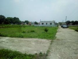 Residential Plot for Sale in Jolly Grant, Dehradun