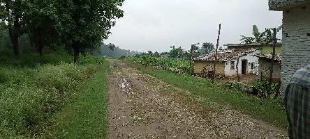  Agricultural Land for Sale in Herbertpur, Dehradun