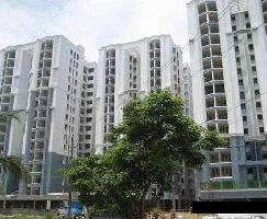 3 BHK Flat for Rent in Edappally, Kochi