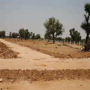  Residential Plot 100 Sq. Yards for Sale in Pari Chowk, Greater Noida