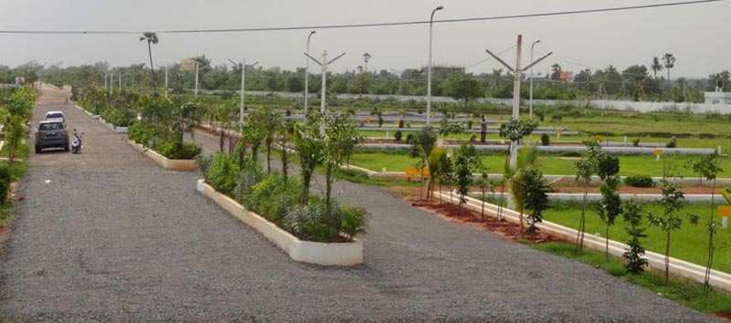  Residential Plot 60 Sq. Yards for Sale in Pari Chowk, Greater Noida