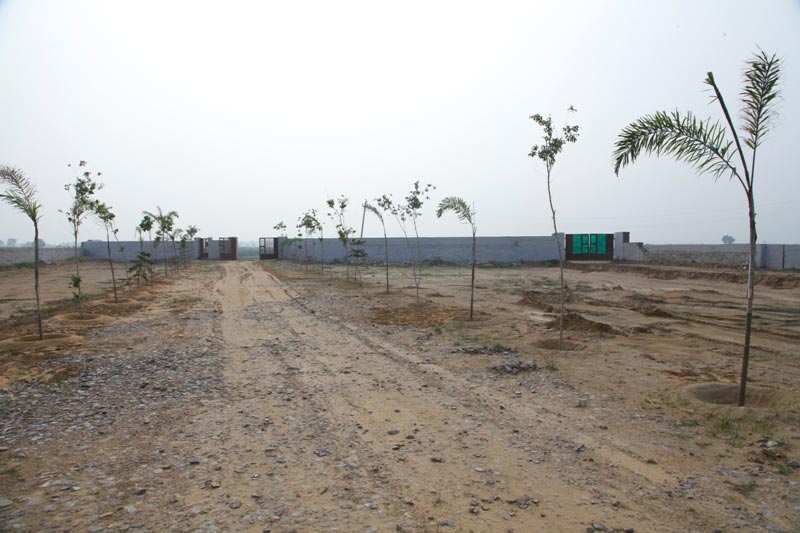  50 Sq. Yards Residential Plot for Sale in Knowledge Park, Greater Noida