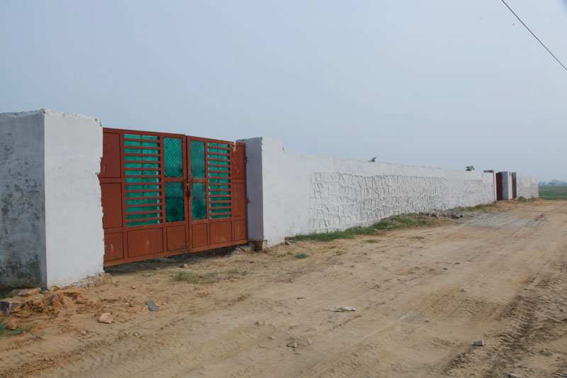  125 Sq. Yards Residential Plot for Sale in Yamuna Expressway, Greater Noida