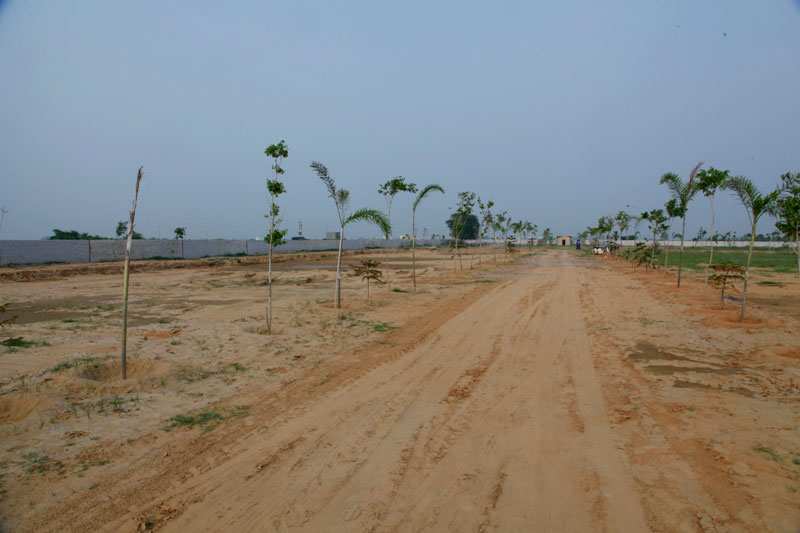  125 Sq. Yards Residential Plot for Sale in Yamuna Expressway, Greater Noida