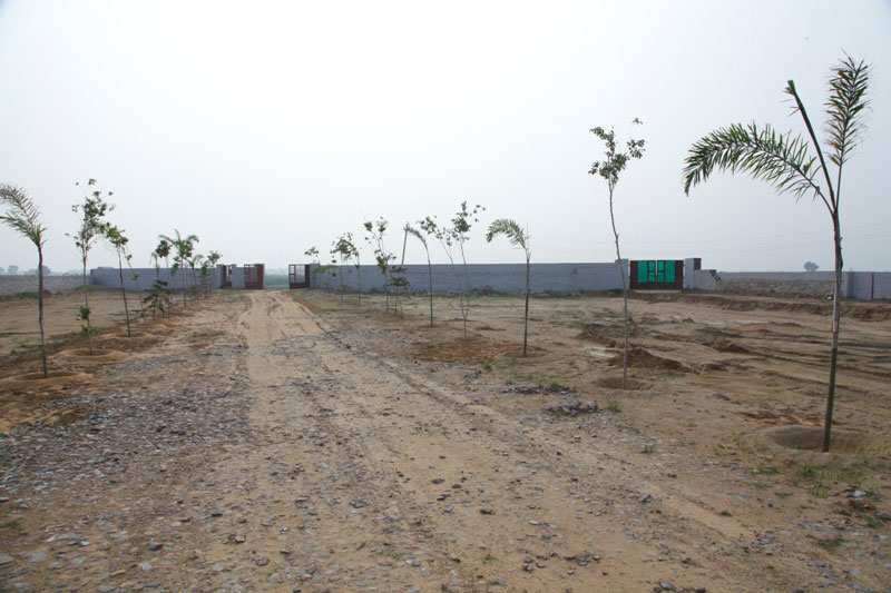  125 Sq. Yards Residential Plot for Sale in Yamuna Expressway, Greater Noida