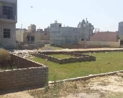  Residential Plot for Sale in Pari Chowk, Greater Noida