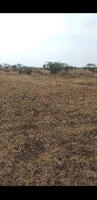 Agricultural Land for Sale in Lal Ghati, Shajapur