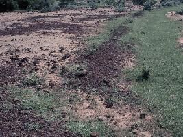  Agricultural Land for Sale in Repalle, Guntur