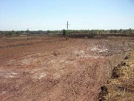  Commercial Land for Sale in Khushkhera, Bhiwadi