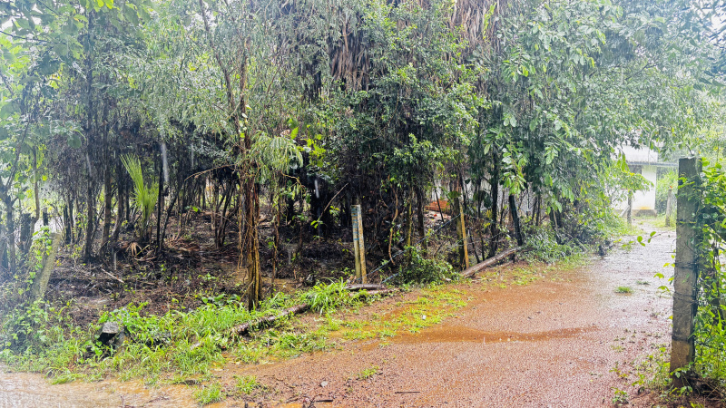  Residential Plot 50 Cent for Sale in Alathur, Palakkad