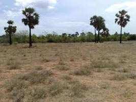  Commercial Land for Sale in Sarangpur, Rajgarh