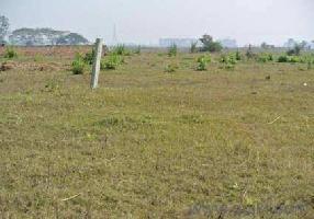  Agricultural Land for Sale in Susner, Agar Malwa