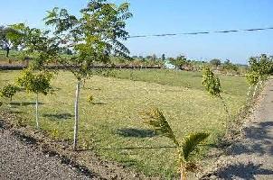  Residential Plot for Sale in Sharad Colony, Shajapur