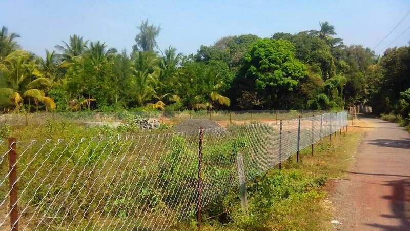  Agricultural Land 11 Guntha for Sale in Alibag, Raigad