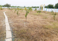  Agricultural Land for Sale in Kandukur, Rangareddy