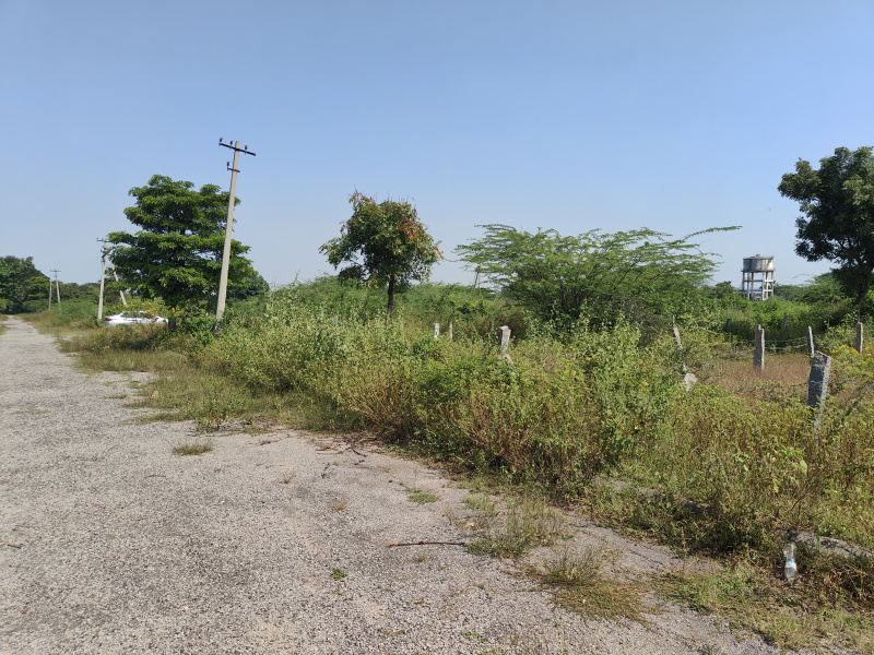  220 Sq. Yards Residential Plot for Sale in Turkayanmjal, Hyderabad