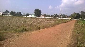  Agricultural Land for Sale in Kovvur, West Godavari