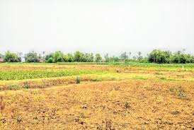 Residential Plot 5 Acre for Sale in Loharu, Bhiwani