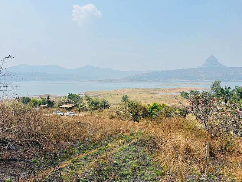  Agricultural Land 40000 Sq.ft. for Sale in Pavana Lake, Pune