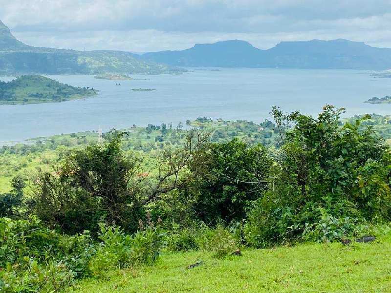  Agricultural Land 72 Guntha for Sale in Pavana Lake, Pune