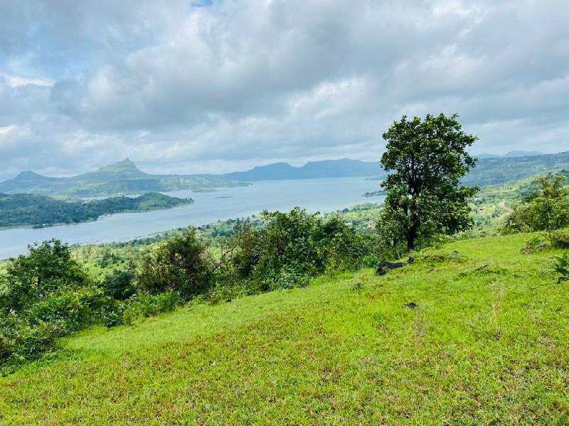  Agricultural Land 72 Guntha for Sale in Pavana Lake, Pune