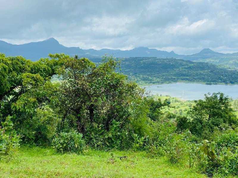  Agricultural Land 72 Guntha for Sale in Pavana Lake, Pune