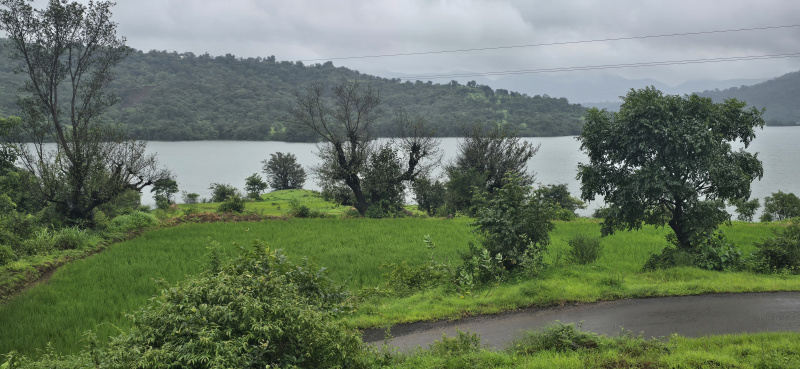  Residential Plot 138500 Sq.ft. for Sale in Mulshi, Pune