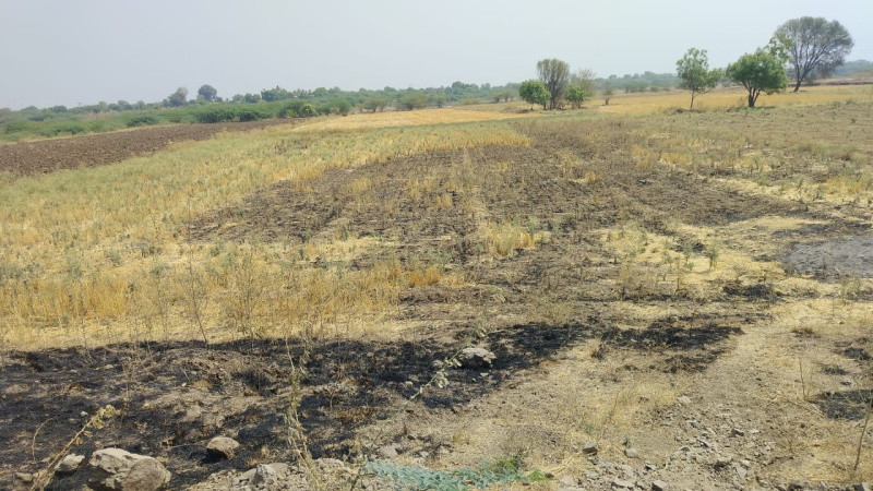  Agricultural Land 10 Acre for Sale in Shirdi, Ahmednagar