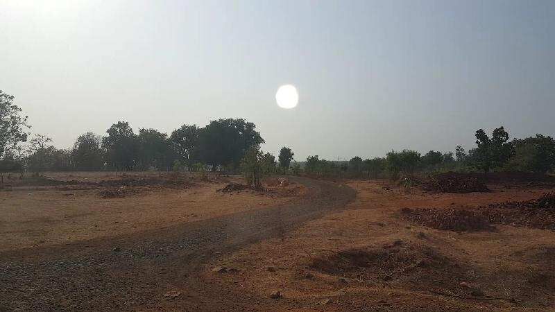  Agricultural Land 3 Acre for Sale in Murbad, Thane