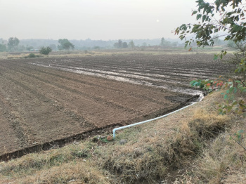  Agricultural Land for Sale in Gangapur, Nashik