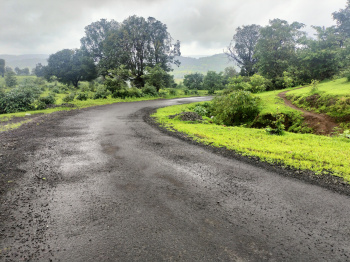  Agricultural Land for Sale in Trimbakeshwar, Nashik