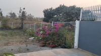  Agricultural Land for Sale in Trimbak Road, Nashik