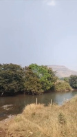  Agricultural Land for Sale in Igatpuri, Nashik