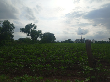  Agricultural Land for Sale in Bhusawal, Jalgaon