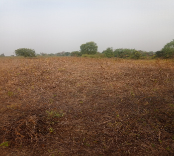  Agricultural Land for Sale in Dharangaon, Jalgaon